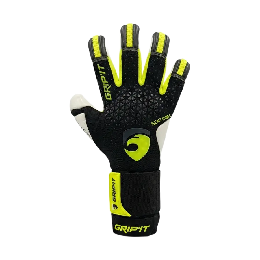 Sentinel – Neon — S08